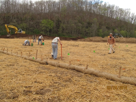 tree planting